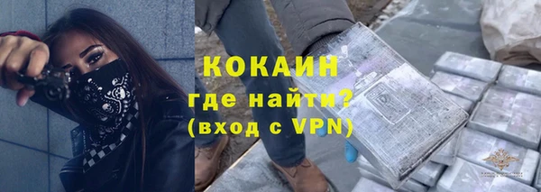 прущие грибы Балабаново