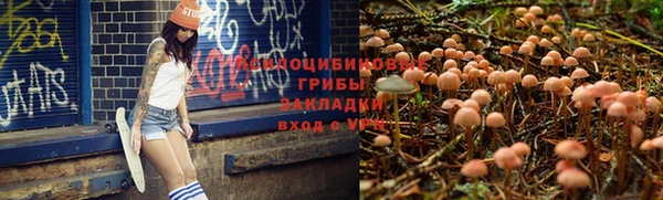 а пвп мука Аркадак
