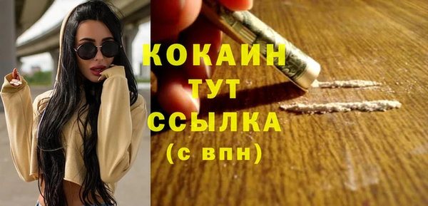 дживик Арсеньев