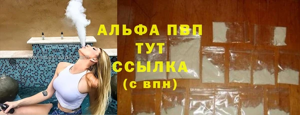дживик Арсеньев