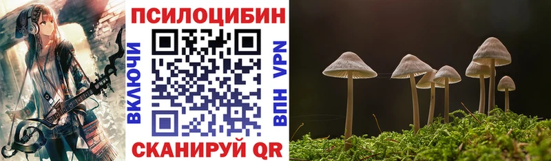 Псилоцибиновые грибы прущие грибы  Купить  Можга 