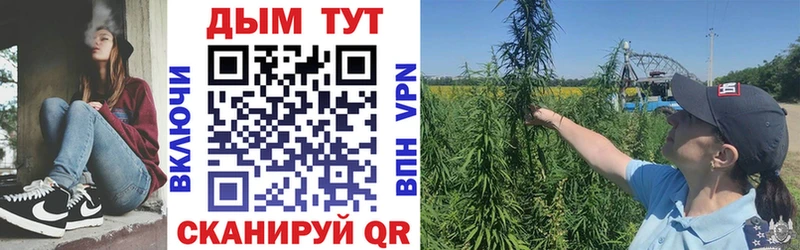 Купить где  Можга  Бошки марихуана Amnesia 